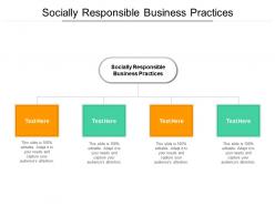 Socially responsible business practices ppt powerpoint presentation ideas background cpb