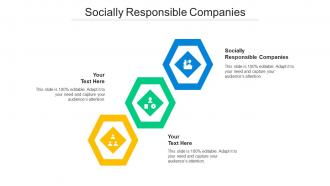 Socially Responsible Companies Ppt Powerpoint Presentation File Deck Cpb