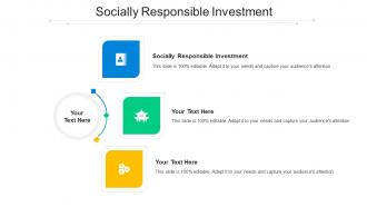 Socially Responsible Investment Ppt Powerpoint Presentation Show Microsoft Cpb