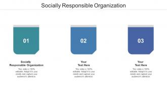 Socially Responsible Organization Ppt Powerpoint Presentation Summary Display Cpb