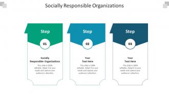 Socially responsible organizations ppt powerpoint presentation layouts format ideas cpb