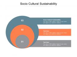 Socio cultural sustainability ppt powerpoint presentation slides graphics download cpb