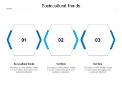 Sociocultural trends ppt powerpoint presentation slides designs download cpb