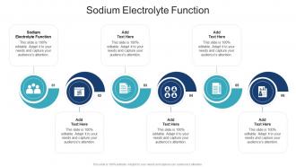 Sodium Electrolyte Function In Powerpoint And Google Slides Cpb