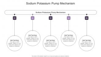 Sodium Potassium Pump Mechanism In Powerpoint And Google Slides Cpb
