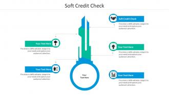 Soft credit check ppt powerpoint presentation portfolio microsoft cpb