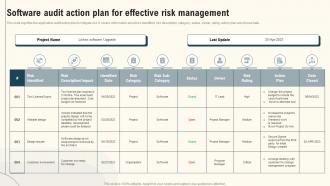 Software Audit Action Plan For Effective Risk Management