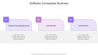 Software Companies Business In Powerpoint And Google Slides Cpb