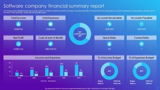 Software Company Financial Summary Report Software Company Financial Summary Report