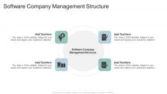 Software Company Management Structure In Powerpoint And Google Slides Cpb