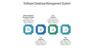 Software database management system ppt powerpoint presentation slides clipart images cpb