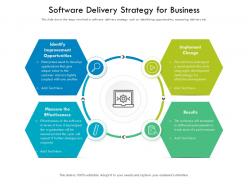 Software delivery strategy for business