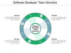 Software Developer Team Structure Ppt Powerpoint Presentation Slides ...