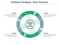 Software developer team structure ppt powerpoint presentation slides shapes cpb