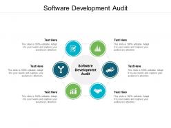 Software development audit ppt powerpoint presentation styles icons cpb