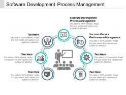Software development process management success factors performance management cpb