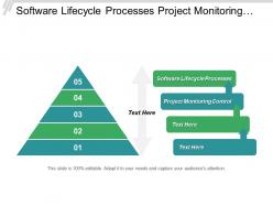 Software lifecycle processes project monitoring control quality assurance cpb