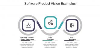 Software product vision examples ppt powerpoint presentation pictures mockup cpb