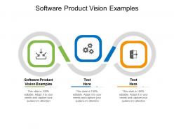 Software product vision examples ppt powerpoint presentation summary graphics cpb