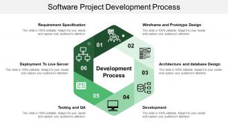 Software project development process