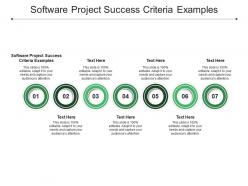 Software project success criteria examples ppt powerpoint presentation summary portfolio cpb