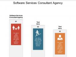 Software services consultant agency ppt powerpoint presentation gallery clipart cpb