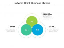 Software small business owners ppt layouts example introduction cpb