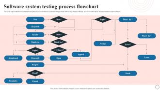 Software System Testing Process Flowchart Application Integration Program