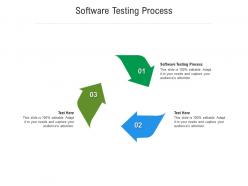 Software testing process ppt powerpoint presentation summary topics cpb