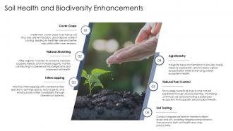 Soil Health And Biodiversity Enhancements PPT Slides ST AI SS