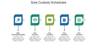 Sole custody schedules ppt powerpoint presentation icon template cpb