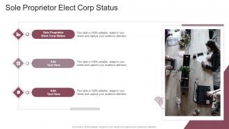 Sole Proprietor Elect Corp Status In Powerpoint And Google Slides Cpb