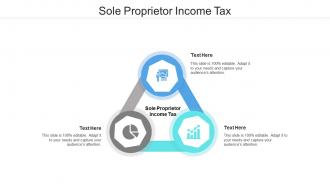Sole proprietor income tax ppt powerpoint presentation professional themes cpb