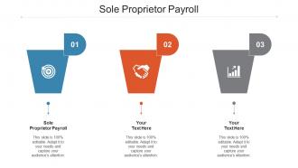 Sole Proprietor Payroll Ppt Powerpoint Presentation Inspiration Guide Cpb