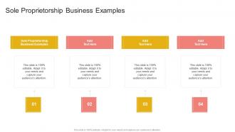Sole Proprietorship Business Examples In Powerpoint And Google Slides Cpb