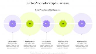 Sole Proprietorship Business In Powerpoint And Google Slides Cpb