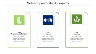 Sole Proprietorship Company Ppt Powerpoint Presentation Styles Infographics Cpb