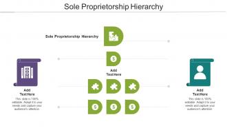 Sole Proprietorship Hierarchy Ppt Powerpoint Presentation Pictures Graphic Images Cpb