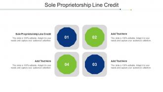 Sole Proprietorship Line Credit Ppt Powerpoint Presentation Summary Deck Cpb