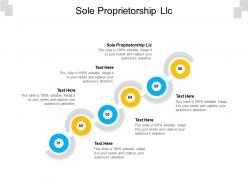 Sole proprietorship llc ppt powerpoint presentation portfolio grid cpb