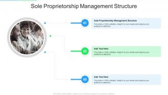 Sole Proprietorship Management Structure In Powerpoint And Google Slides Cpb