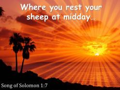 Song of solomon 1 7 you rest your sheep at midday powerpoint church sermon