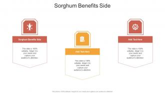 Sorghum Benefits Side In Powerpoint And Google Slides Cpb