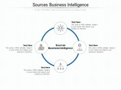 Sources business intelligence ppt powerpoint presentation styles maker cpb