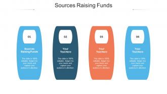 Sources Raising Funds Ppt Powerpoint Presentation Professional Infographics Cpb