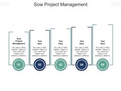 Sow project management ppt powerpoint presentation ideas graphics download cpb