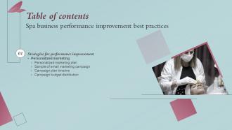 Spa Business Performance Improvement Best Practices Table Of Contents Strategy SS V