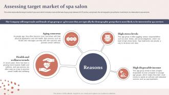 Spa Business Plan Assessing Target Market Of Spa Salon BP SS