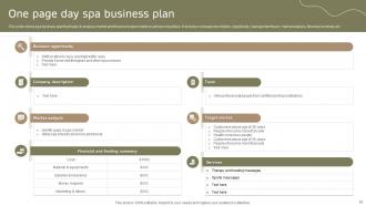 Spa Business Plan Powerpoint Ppt Template Bundles