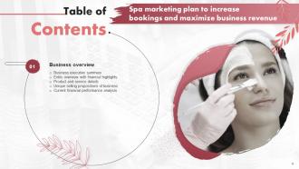 Spa Marketing Plan To Increase Bookings And Maximize Business Revenue Powerpoint Presentation Slides Images Professional